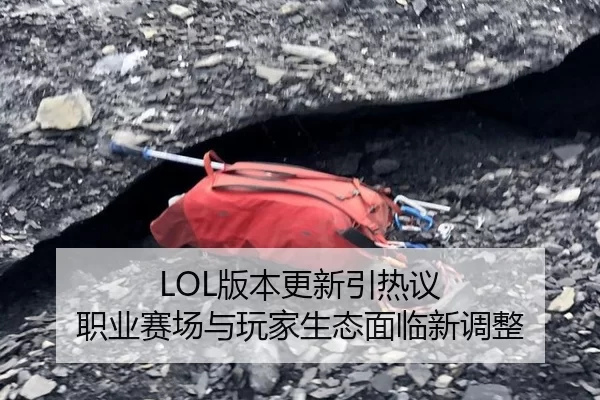 LOL版本更新引热议 职业赛场与玩家生态面临新调整